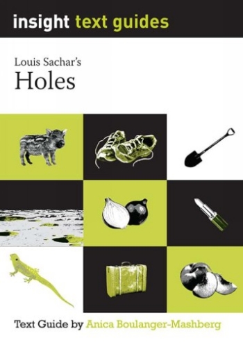 Insight Text Guide: Holes